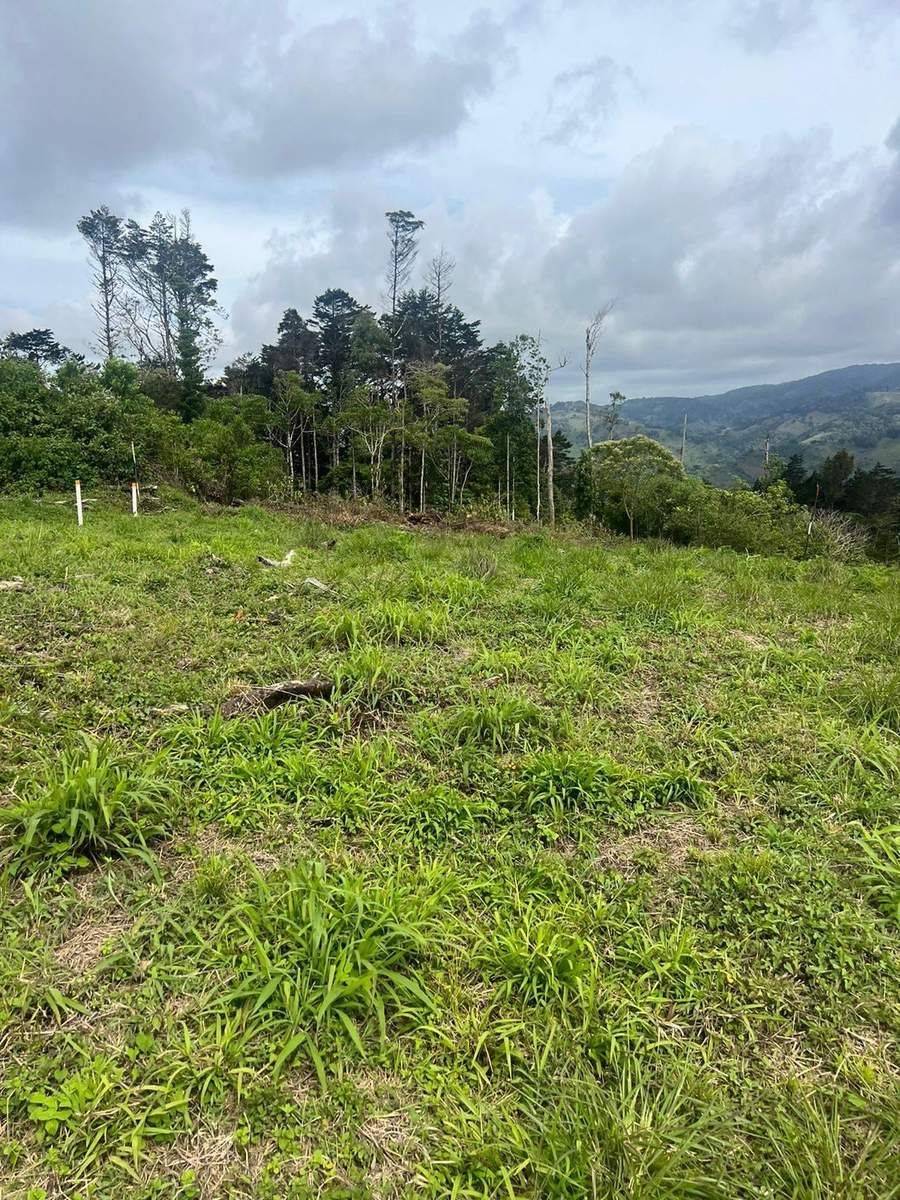 Financiamiento propio en Costa Rica